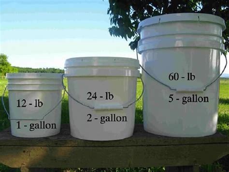 how much is 5 gallons of paint|montgomery ward paint five gallons.